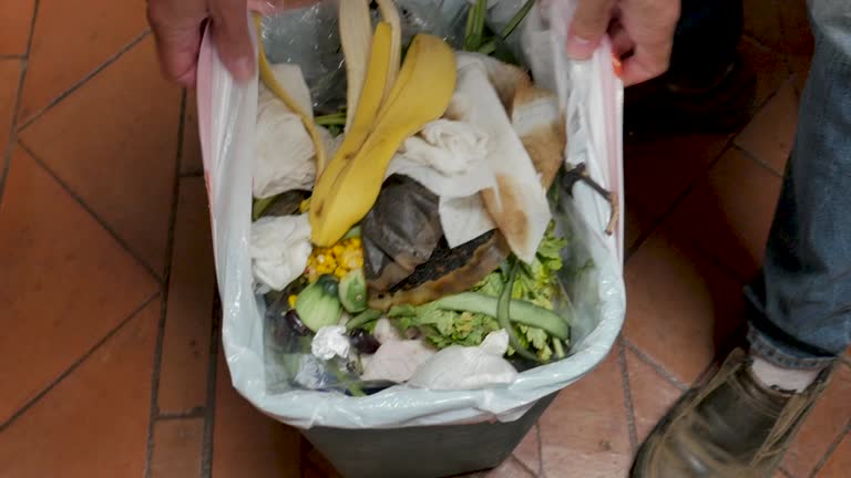 Professional Junk Removal Services in Benson, MN